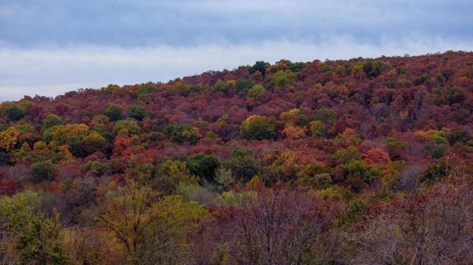 Honey Springs Battlefield and Visitors Center – Oklahoma Farm & Ranch